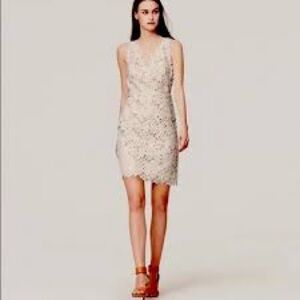 LOFT White with Cream underlay Floral Lace Mini Dress size 10 NWT